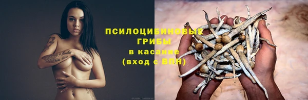 бошки Алексеевка
