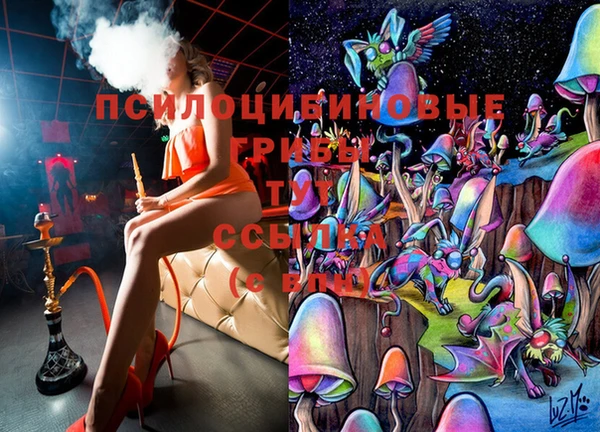 бошки Алексеевка
