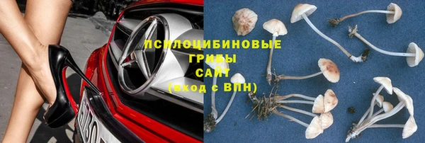 прущие крисы Алексин