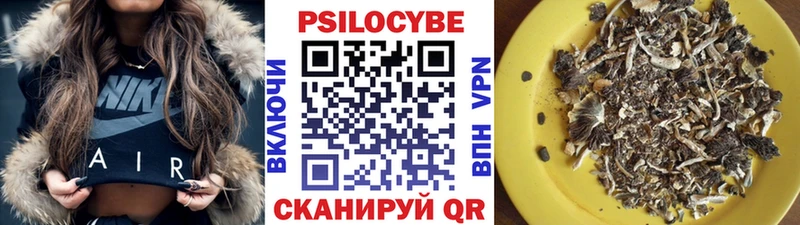 Купить где  Белёв  Псилоцибиновые грибы ЛСД 