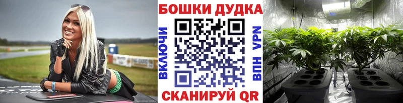 Купить где  Белёв  МАРИХУАНА план 